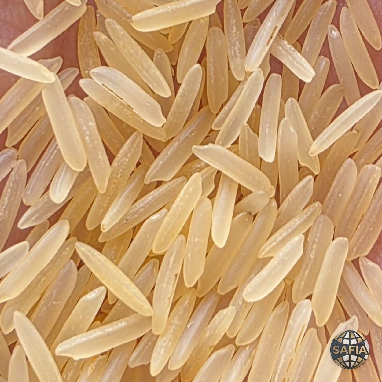 1401 Golden Sella — SAFIA reference image