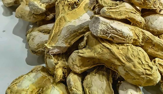 Whole dried ginger roots