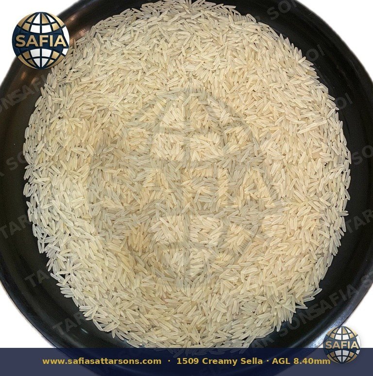 1509 Basmati — representative rice image