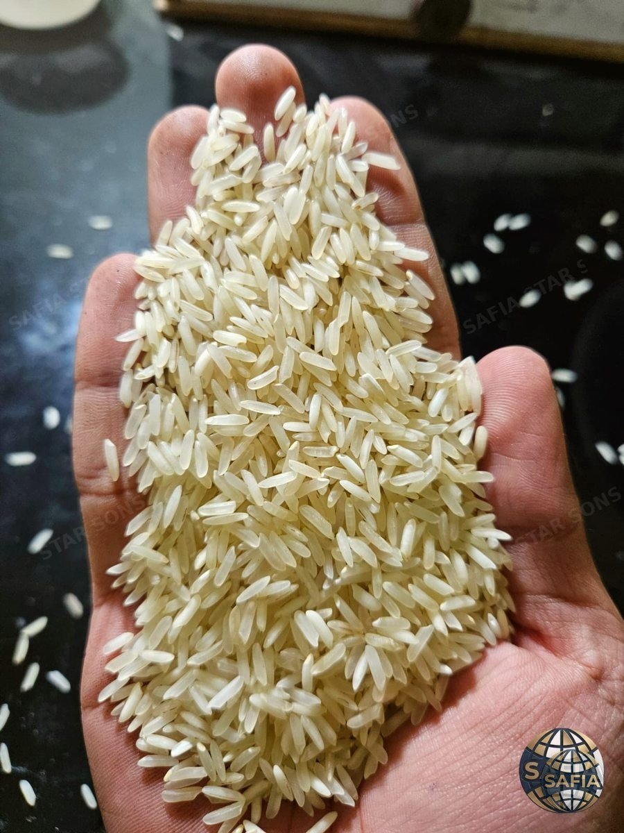 Sharbati Basmati-Style Rice — SAFIA premium rice grains